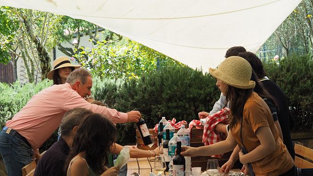 Light lunch in the winery