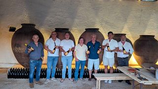 Experiência de degustação de vinhos de ânfora na vinícola Malápio na Bairrada