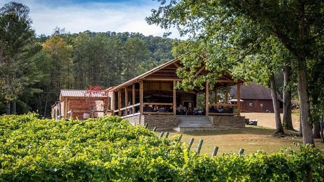 Bear Claw Vineyards & Winery