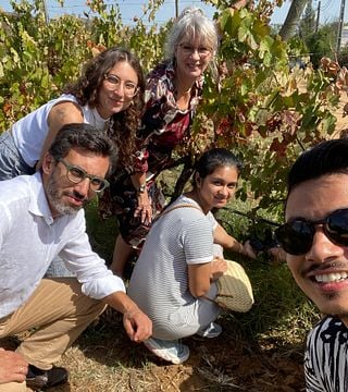 Highlights portugiesischer Weine; die portugiesische Weinkarte verstehen