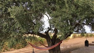 Degustação de vinhos e passeio em Medeiros