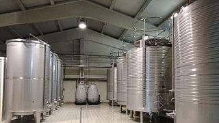 Degustazione di vini e tour alla Bodega Ozalder
