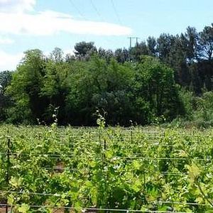 Disfrute de una estancia de lujo con una magnífica vista de los viñedos en el Château de Paraza