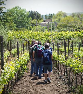 Dégustation de vins et visite à Tenuta San Giaime