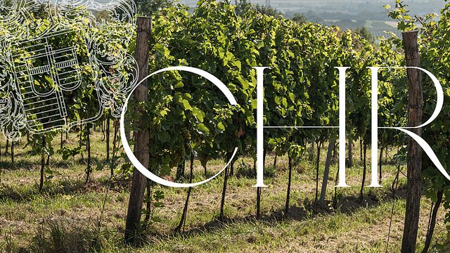Dégustation de vins avec visite de cave | Weingut & Heuriger Christ