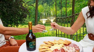 Weinprobe und Tour bei La Cedraia