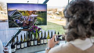 Degustazione di vini e visita alla cantina Etyeki Kúria