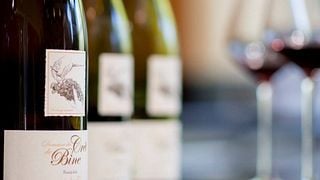 Domaine du Crêt de Bine