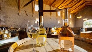 Degustação de vinhos Prestige no Château de Paraza