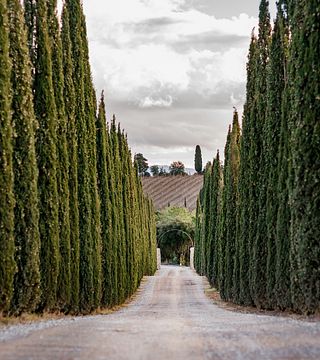 Toscana: Klassisk vinprovning