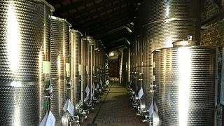 Friuli's Colutta: Wine, Cuisine & Vineyard Views