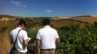 Prova de vinhos e tour na Raíces Ibéricas