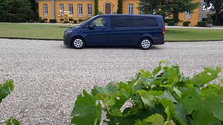 Découverte des vins d'Alsace : visite d'une demi-journée des vignobles au départ de Strasbourg