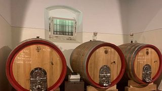Wine tour with tasting dinner at Fattoria Lavacchio