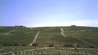 Santa Petronila Winery