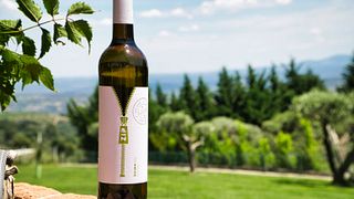 Standard-Weinprobe im Quinta Vale d'Aldeia