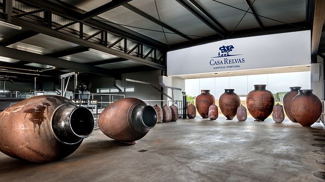 Alentejo Terroir & Tasting at Casa Relvas