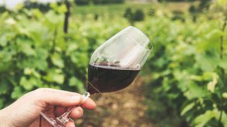 VinoTour X-plorer (visite privée)