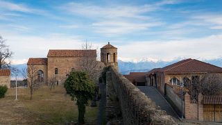 Tour enogastronomico di 1 giorno a Kakheti (Telavi): incontra gli artigiani del vino! - Viti e montagne