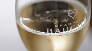 Wine Tasting and Tour at Champagne Bauchet