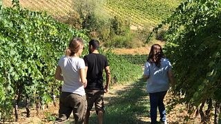 Vinprovning och rundtur på La Casetta Azienda Agricola