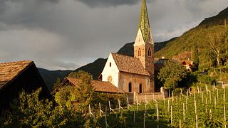 Messnerhof Winery