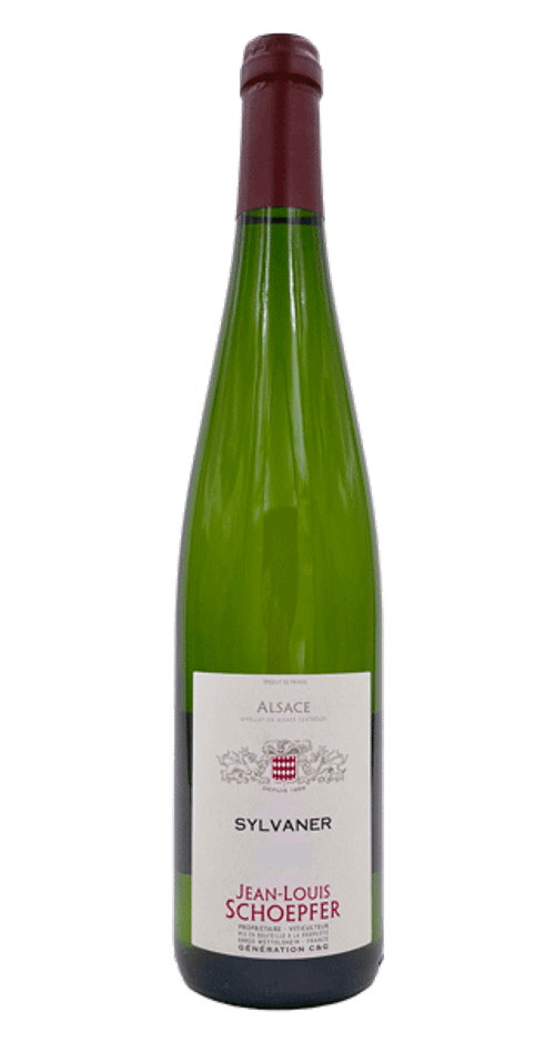 Sylvaner