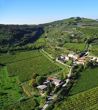 Terre Di Pietra Sas