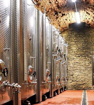 Dégustation de vins et visite de la cave Habsburg