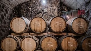 Visita in cantina e degustazione di vini | Heiner. Azienda vinicola