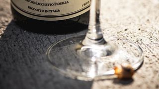 Piedmont Premium Barolo Wine Escape at Bric Cenciurio