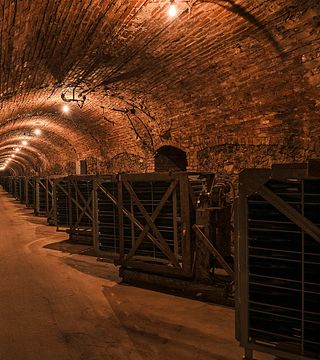 Moet et Chandon Degustazione e divertente tour privato nello Champagne