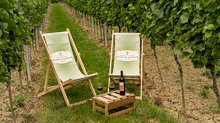 WeinZeit di Engelhard -Picknick