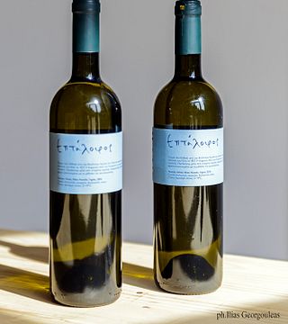 Central Greece Vineyard Tour & Wine Tasting Delight
