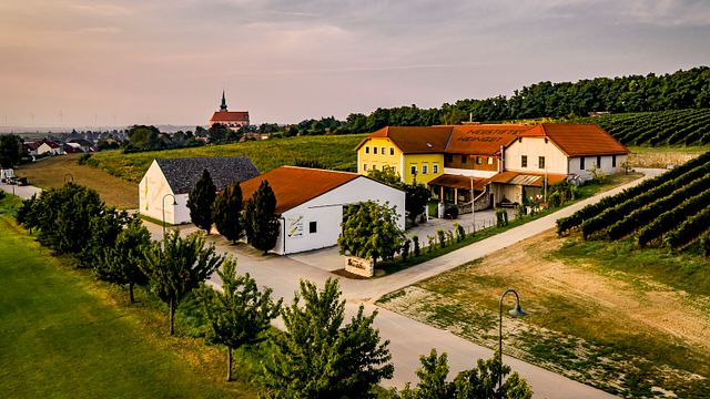 Lower Austria Wine Journey: Tour & Tasting at Neustifter