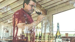 Cata y visita de vinos en Bodegas Vegalfaro
