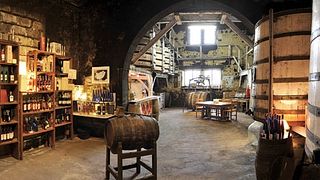 Dégustation et visite de vins à Vallein Tercinier