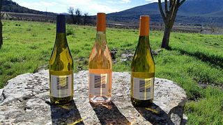 Degustazione di vini e tour al Domaine Les Caizergues