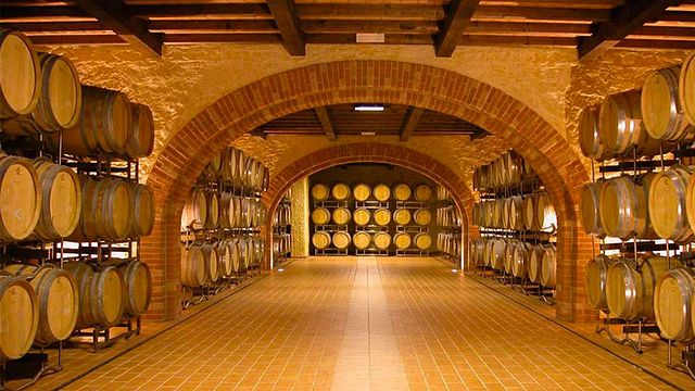 Dégustation de vins et visite à la Cantine Lenotti