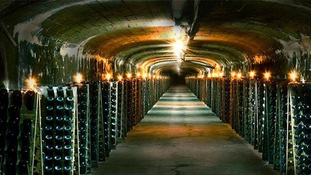 Wine tasting only