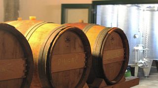 Bura Mrgudic Winery