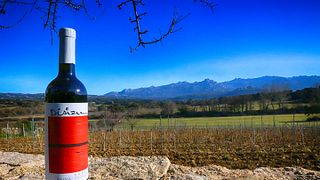 Tenuta Muscazega: A Historic Winery in Gallura