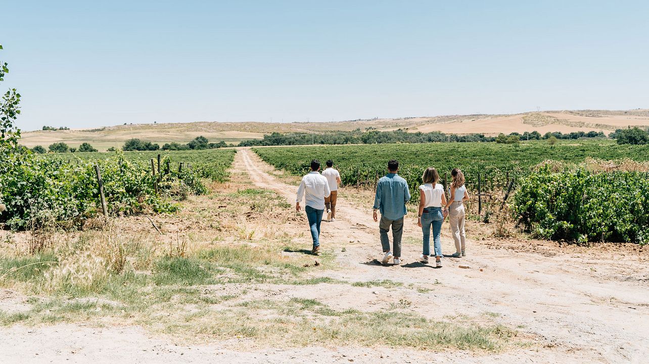 Visita a aldeias tradicionais espanholas e vinícolas com degustação de vinhos e almoço de tapas