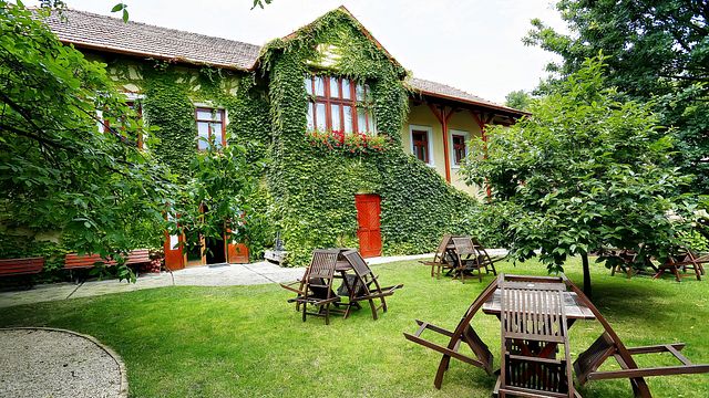 TOKAJ: Degustação de vinhos clássicos em Hímesudvar