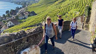 Historias de la vid: Paseo de cata de vinos por Lavaux