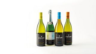 Degustazione di vini e visita alla cantina Stopham