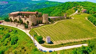 Umfassendes Weinerlebnis im Weingut Verrone und Besuch des alten Weinbergs rund um die Burg Rocca Cilento