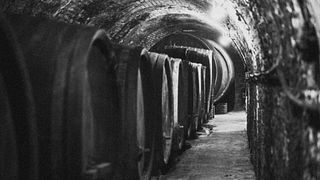 Premium Weinprobe und Führung im Weingut Helmut Maglock