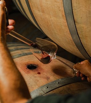 Montalcino : Dégustation de Brunello et de vins gastronomiques dans les coulisses