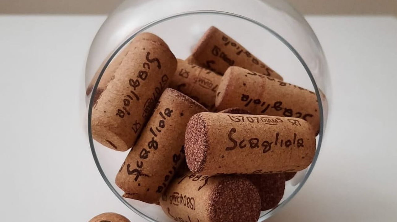 Degustação de vinhos e passeio no Scagliola Giacomo & Figlio